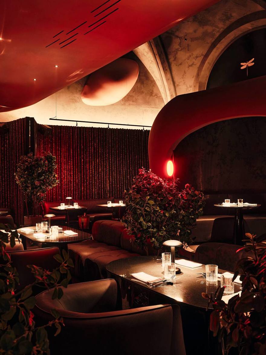 Самое дорогое блюдо Петербурга — лобстеры с икрой за 370 тысяч рублей