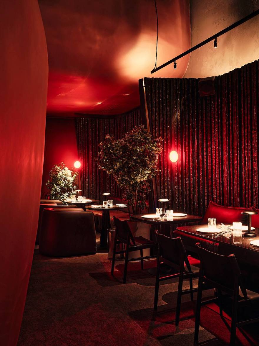 Самое дорогое блюдо Петербурга — лобстеры с икрой за 370 тысяч рублей