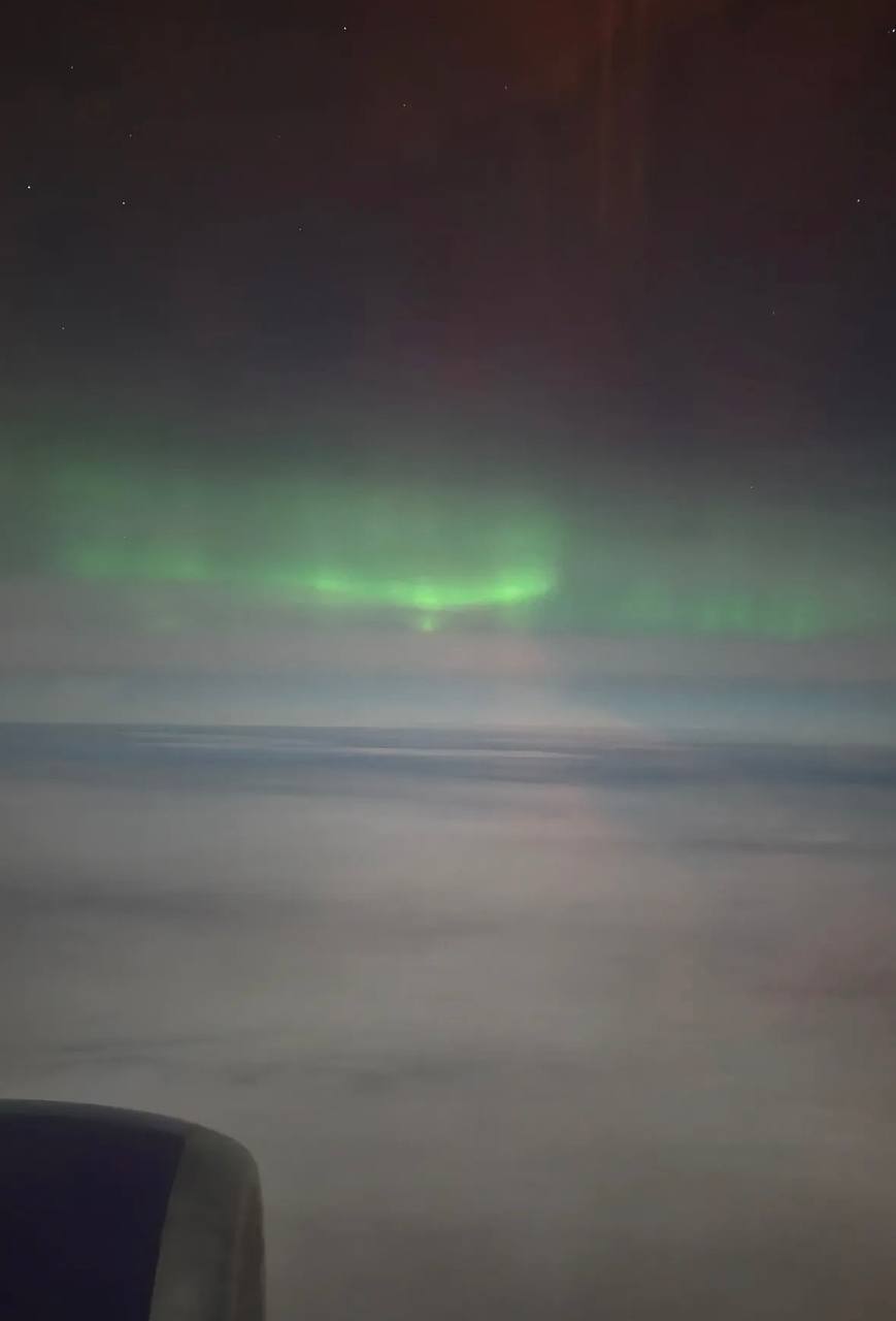 Петербурженка увидела северное сияние с высоты птичьего полёта.