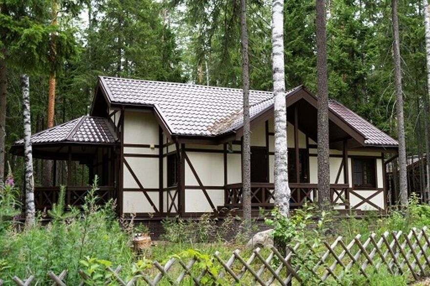 «Шишки на Лампушке» 