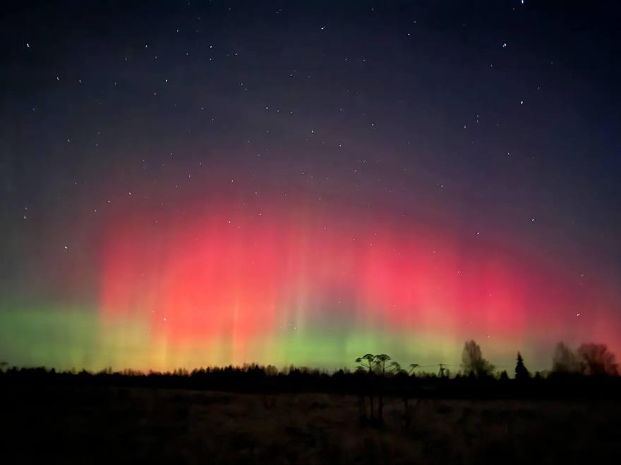 Красное северное сияние засняли в Ленобласти