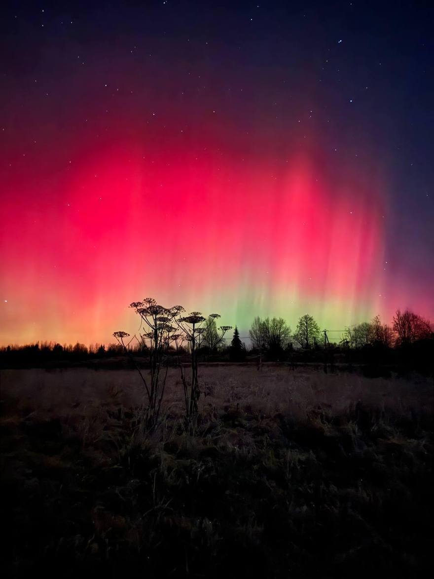 Красное северное сияние засняли в Ленобласти