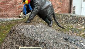 Коту Филимону установили именную табличку в Выборге. 