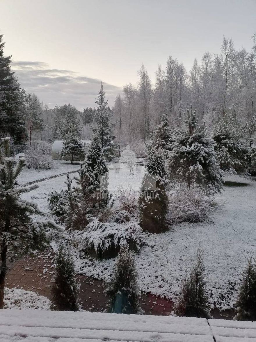 Зимняя сказка пришла в Сосново.