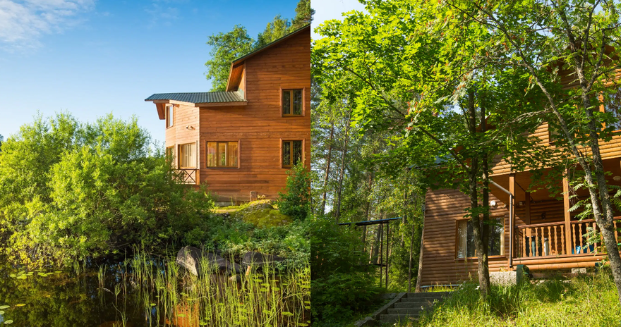 «Лесная сказка»