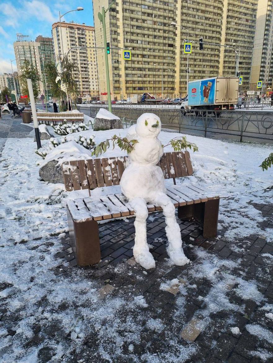 Огромного кота слепили из снега в Мурино