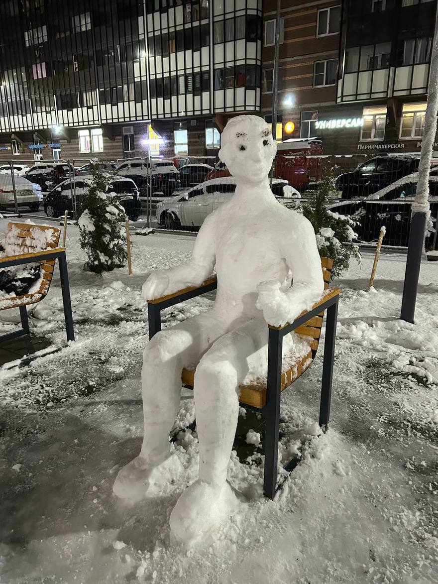 Огромного кота слепили из снега в Мурино