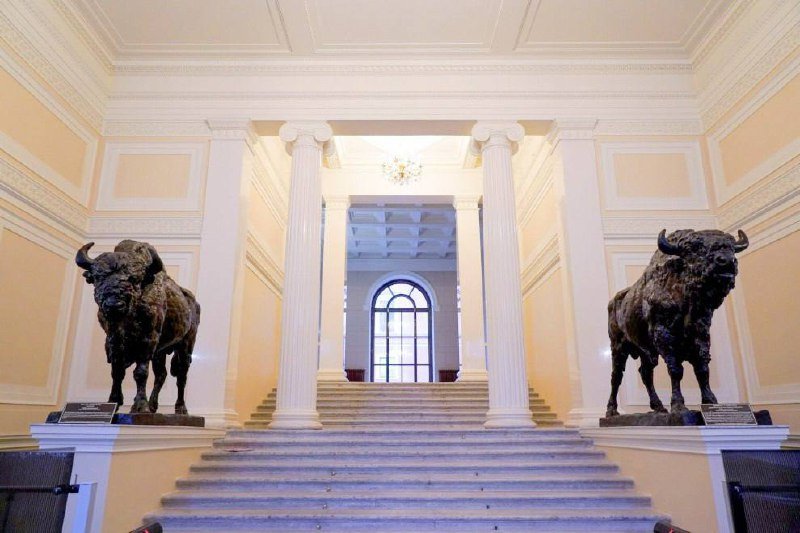 Статуи зубров отреставрировали и вернули в дом Пашкова