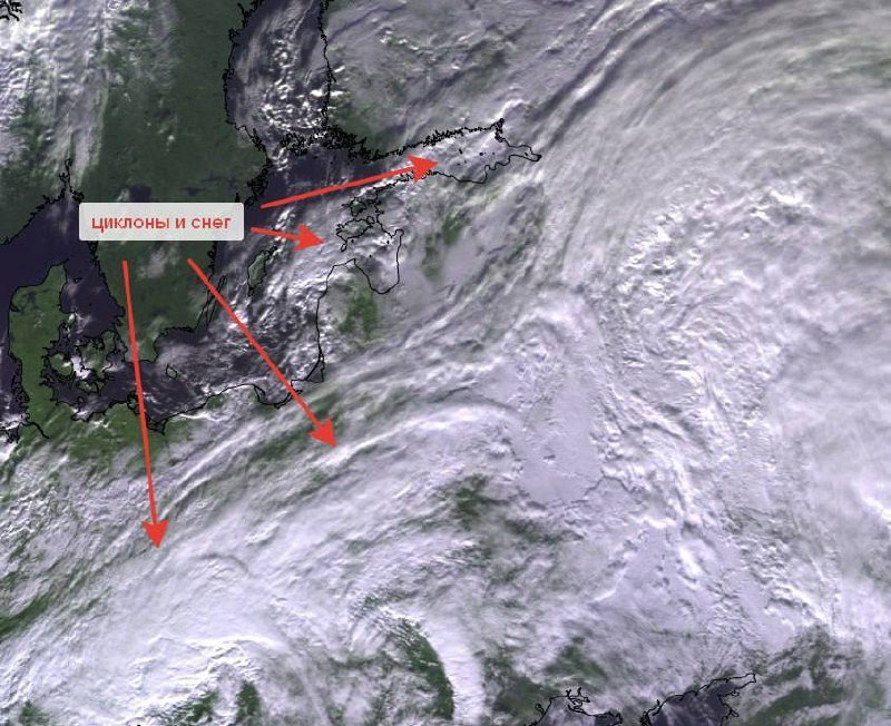 Снежный циклон обрушится завтра на Петербург, — синоптики 