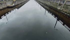 Эстетичный стрит-арт появился в Питере, его создала местная уличная художница Надя О.