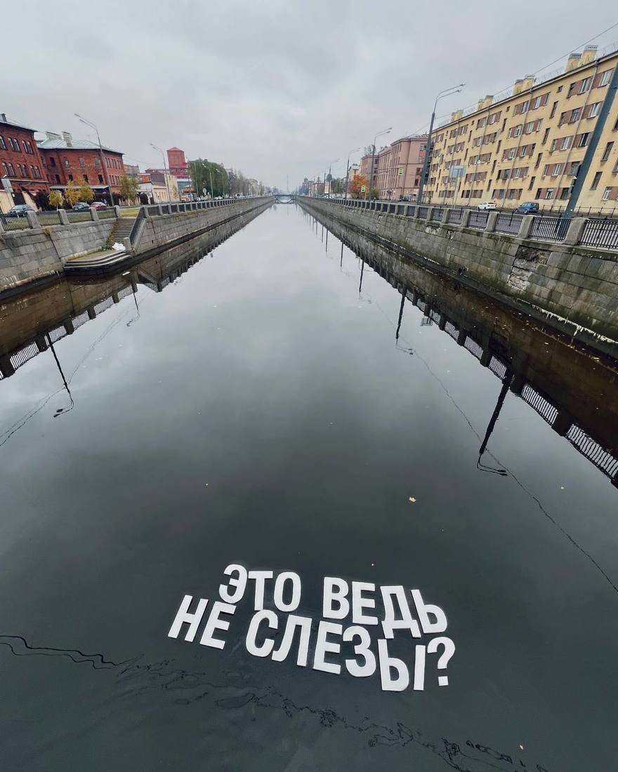 Эстетичный стрит-арт появился в Питере, его создала местная уличная художница Надя О.