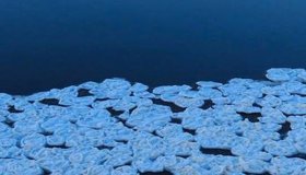 В «Парке Монрепо» заметили редкое природное явление — на воде образовались ледяные «блинчики». 