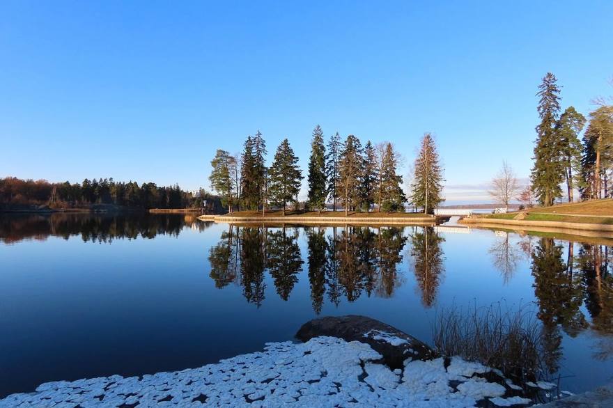 В «Парке Монрепо» заметили редкое природное явление — на воде образовались ледяные «блинчики». 