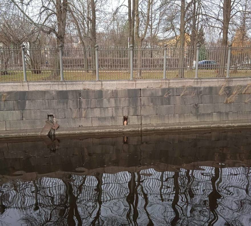 В Кронштадте спасли рыжего кота, который застрял в гранитной облицовке Обводного канала