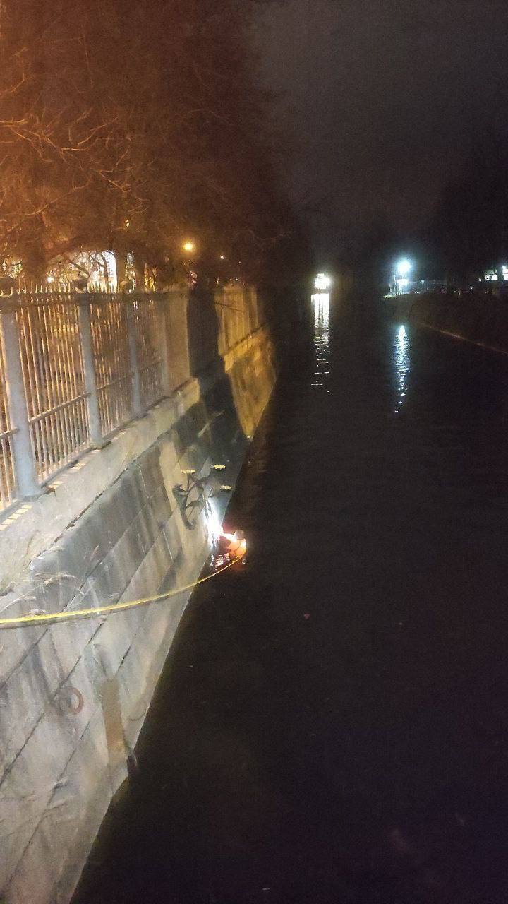 В Кронштадте спасли рыжего кота, который застрял в гранитной облицовке Обводного канала