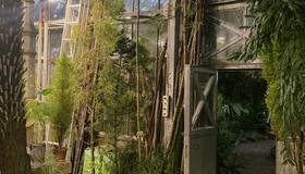 Волонтёр Ботанического сада Петра Великого показала свою расслабляющую работу.