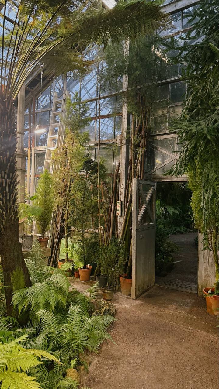 Волонтёр Ботанического сада Петра Великого показала свою расслабляющую работу.