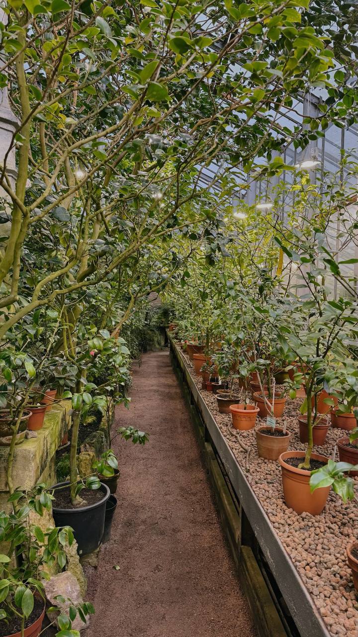 Волонтёр Ботанического сада Петра Великого показала свою расслабляющую работу.