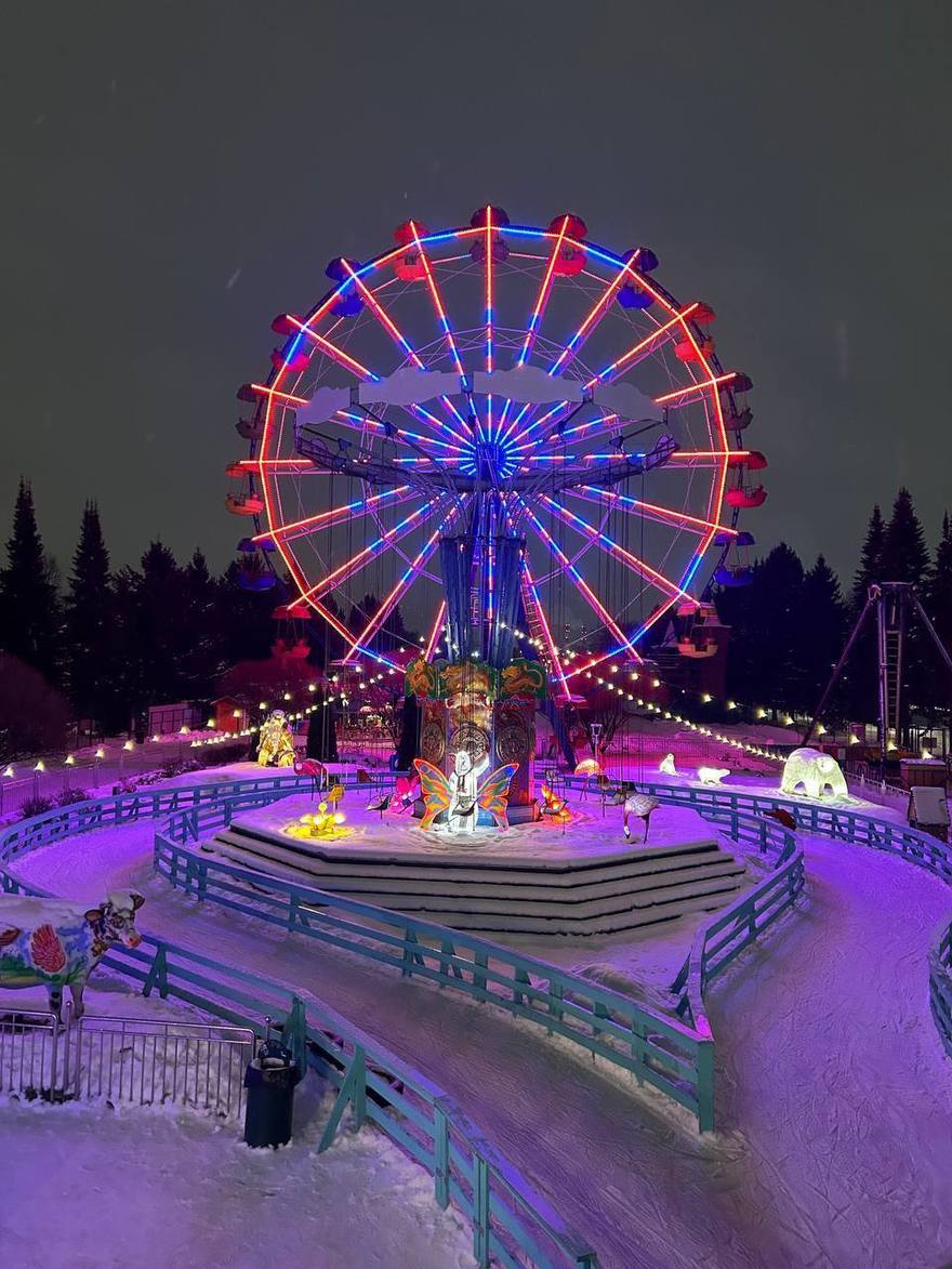 Каток с колесом обозрения открылся сегодня в Южно-Приморском парке.