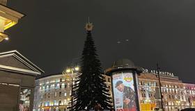 Новогоднюю ёлку поставили на площади Восстания.