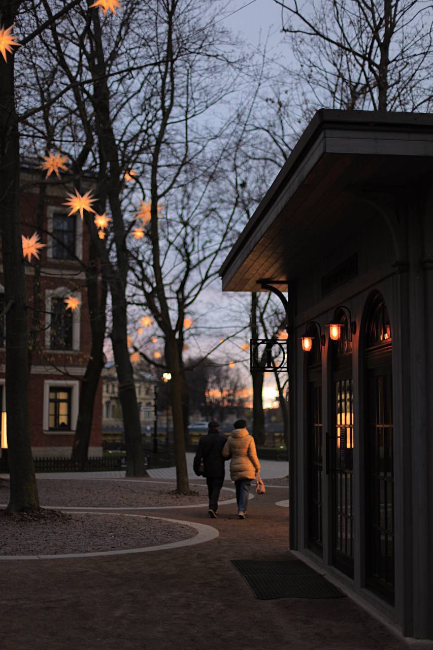 Сияющие звёзды развесили на деревьях в Новой Голландии 
