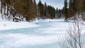 Заморозки до -14 градусов пережили этой ночью в Ленобласти, — синоптики.