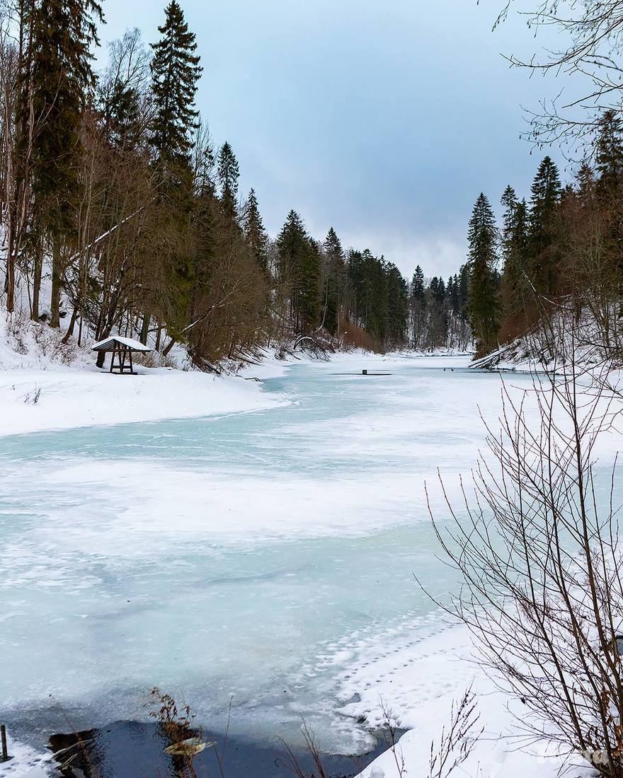 Заморозки до -14 градусов пережили этой ночью в Ленобласти, — синоптики.