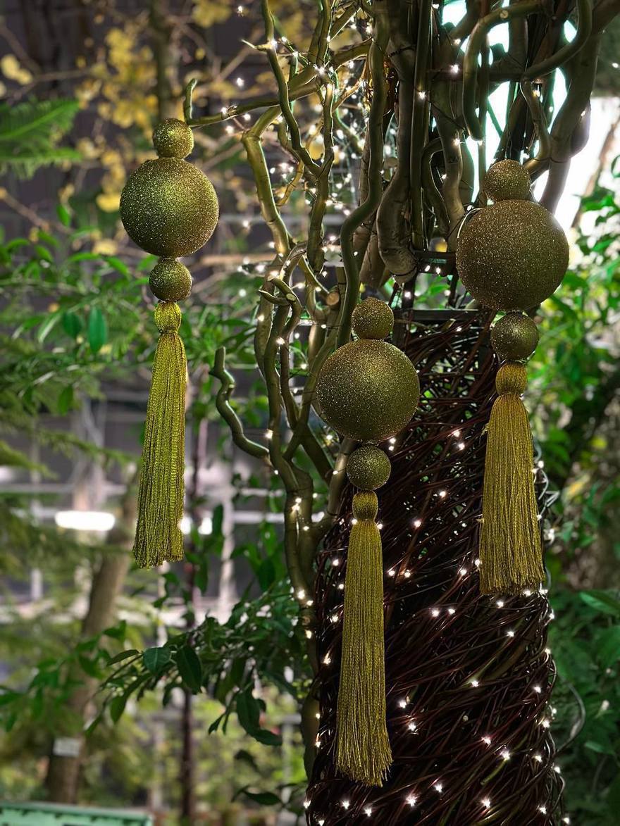 Ботанический сад Петра Великого нарядился к Новому году