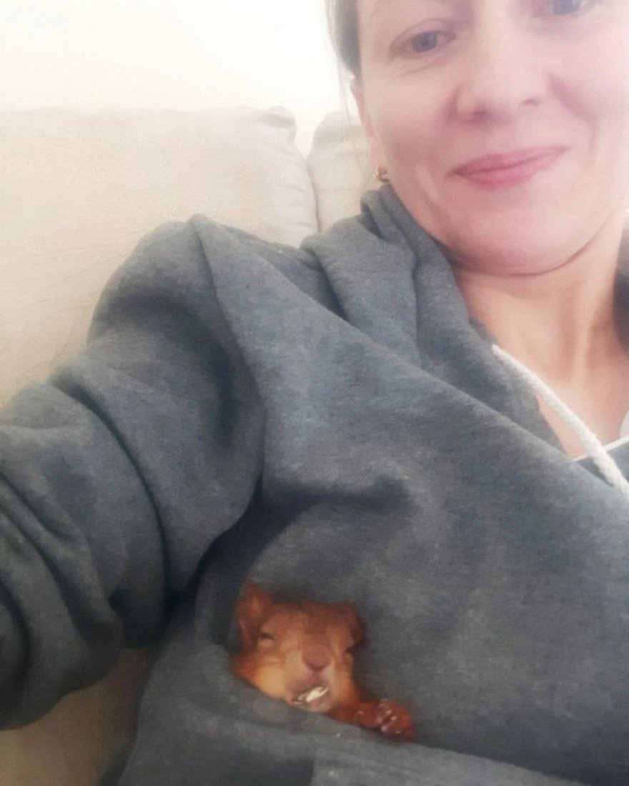 Десятки раненых бельчат уже спасла петербурженка Ксения Артеменко. Этой деятельностью она начала заниматься 4 года назад, когда в ЦПКиО нашла бельчонка с поврежденной лапкой.