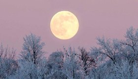 «Холодную Луну» можно будет увидеть в ночь на 6 декабря в Петербурге.