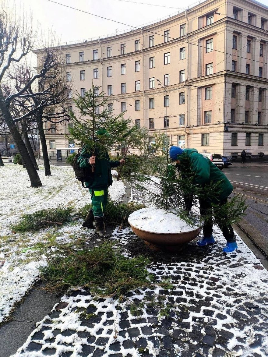Ёлочки заполоняют улицы Петербурга — они появились на Невском, Каменноостровском и Ленинском проспектах и не только.
