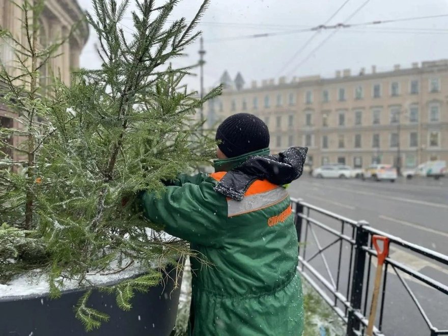 Ёлочки заполоняют улицы Петербурга — они появились на Невском, Каменноостровском и Ленинском проспектах и не только.