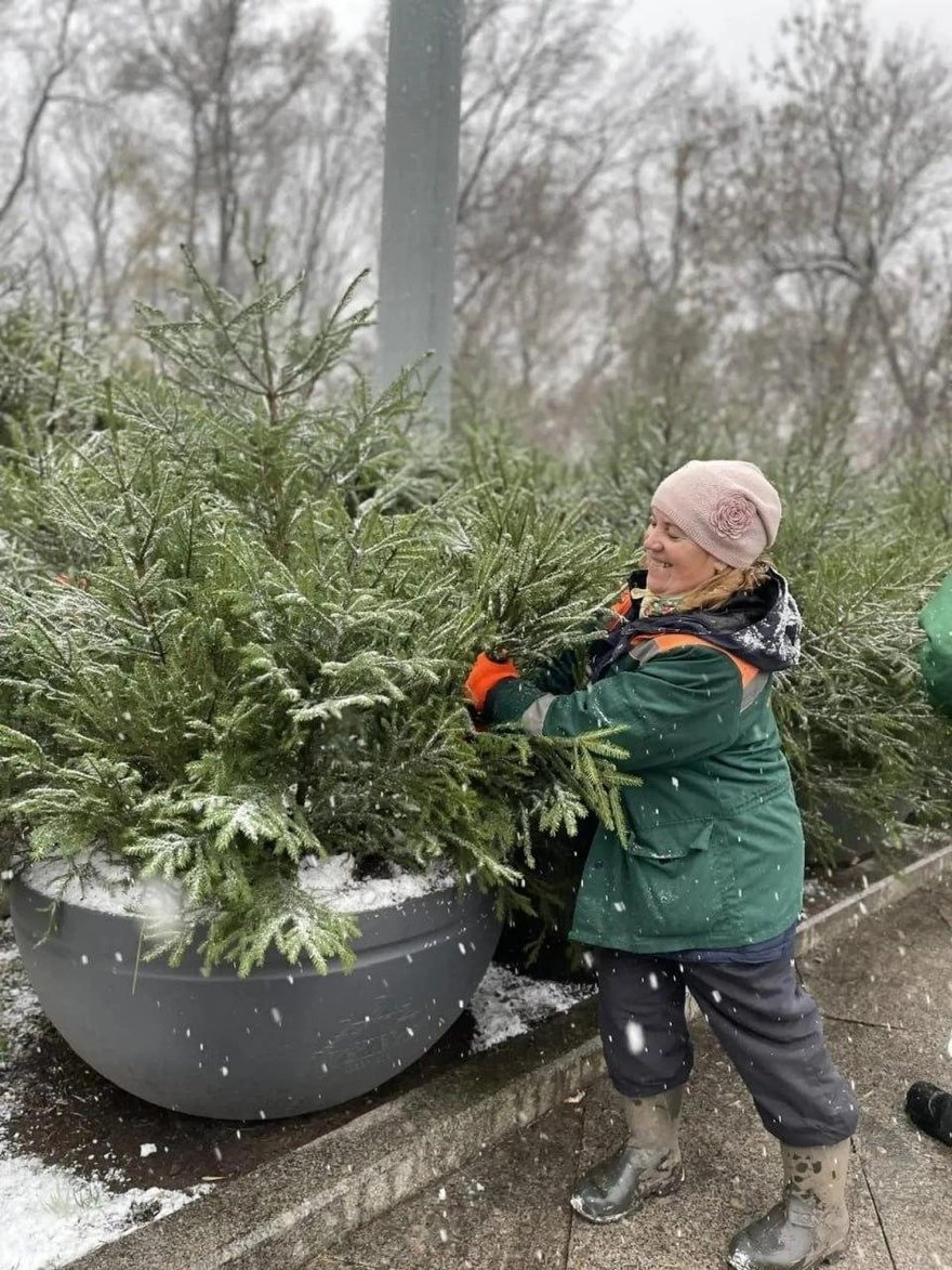 Ёлочки заполоняют улицы Петербурга — они появились на Невском, Каменноостровском и Ленинском проспектах и не только.