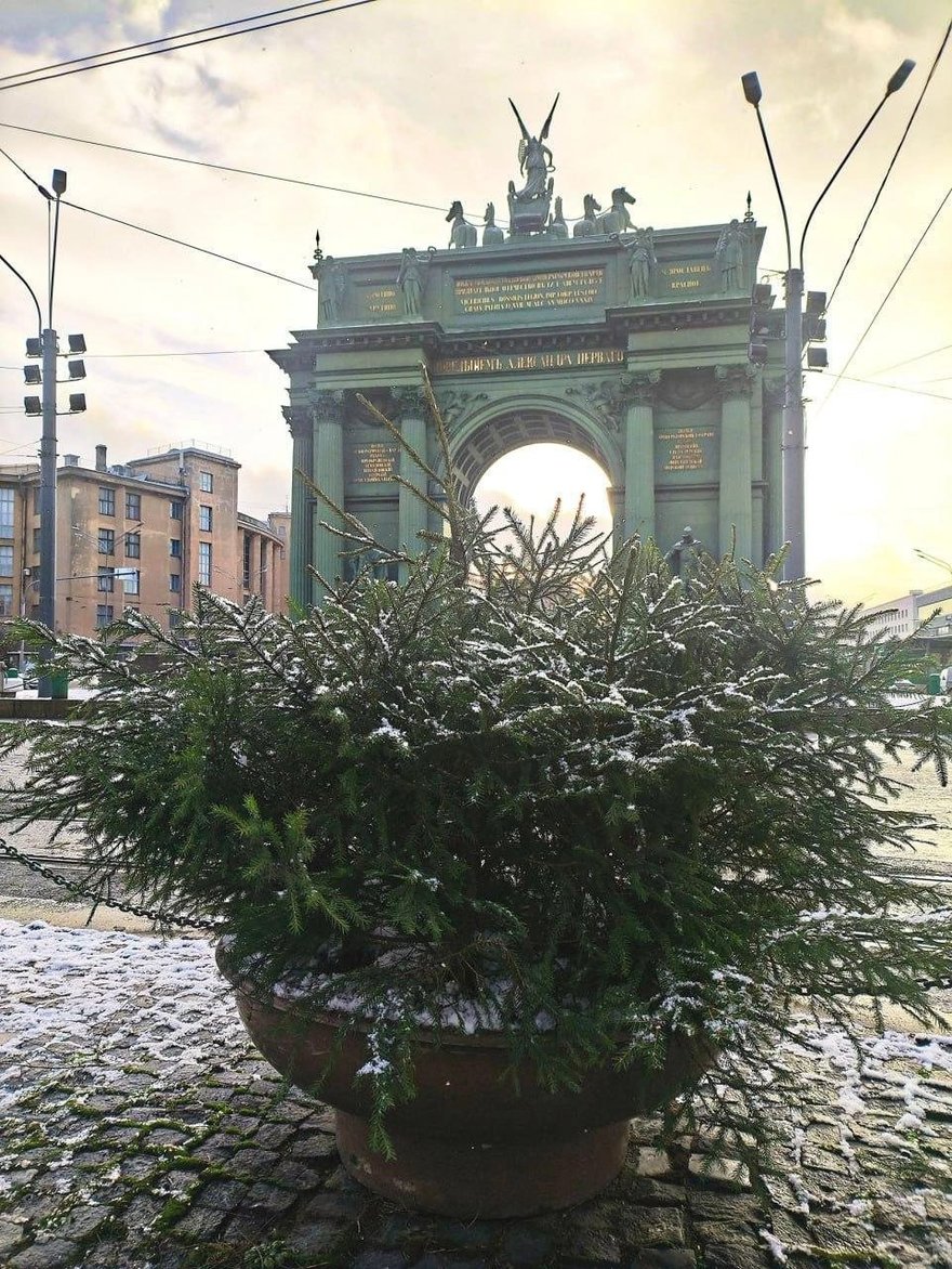 Ёлочки заполоняют улицы Петербурга — они появились на Невском, Каменноостровском и Ленинском проспектах и не только.