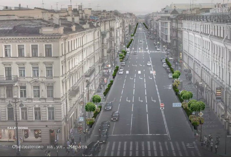 Сад-трансформер хотят создать на Марата в 2026 году. 