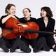 Предновогодний квартирник der Wanderer ensemble