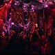 Музыкальная вечеринка IBIZA PARTY LFD