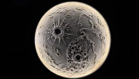 Мастер-класс "Луна-ночник текстурной пастой"