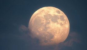 Жители планеты Земля в ночь с 4 на 5 декабря смогут увидеть суперлуние