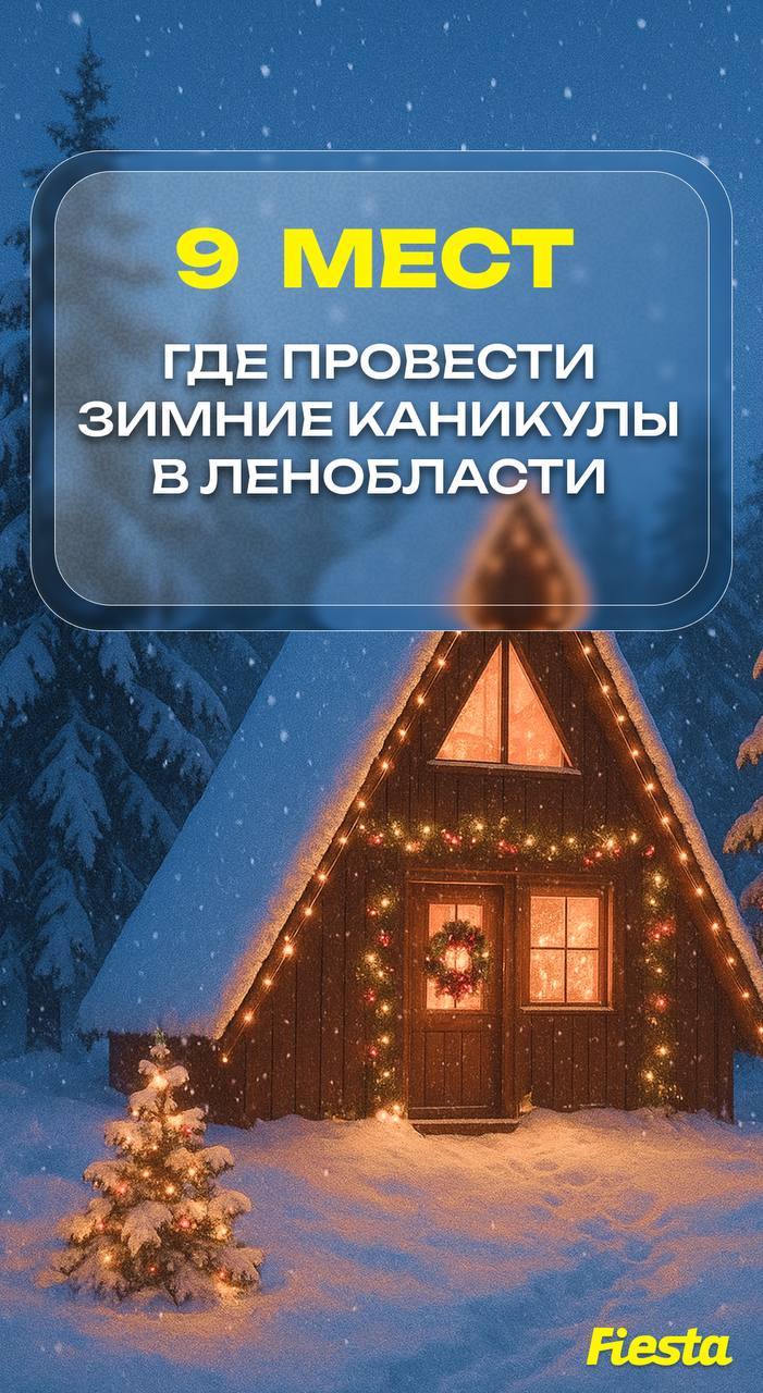 Где провести зимние каникулы в Ленобласти: составили фото гайд из 9 мест