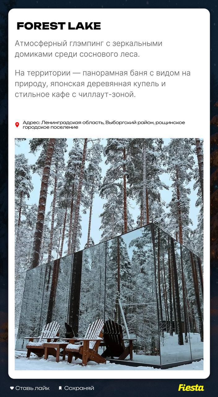 Где провести зимние каникулы в Ленобласти: составили фото гайд из 9 мест