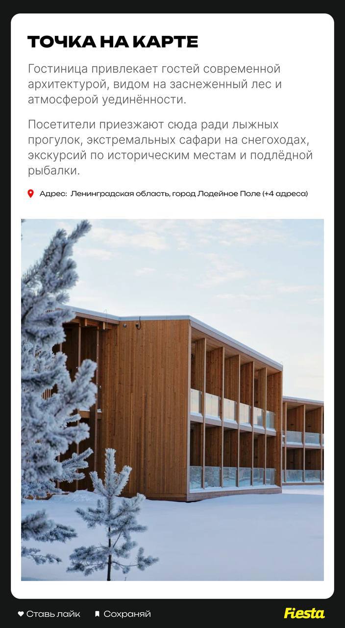 Где провести зимние каникулы в Ленобласти: составили фото гайд из 9 мест