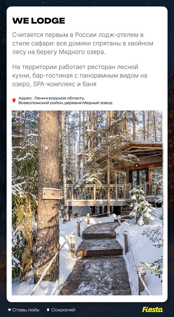 Где провести зимние каникулы в Ленобласти: составили фото гайд из 9 мест