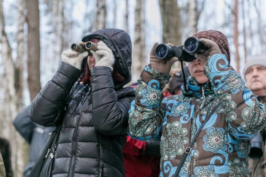 В Пискарёвском лесопарке дали старт зимним орнитологическим прогулкам