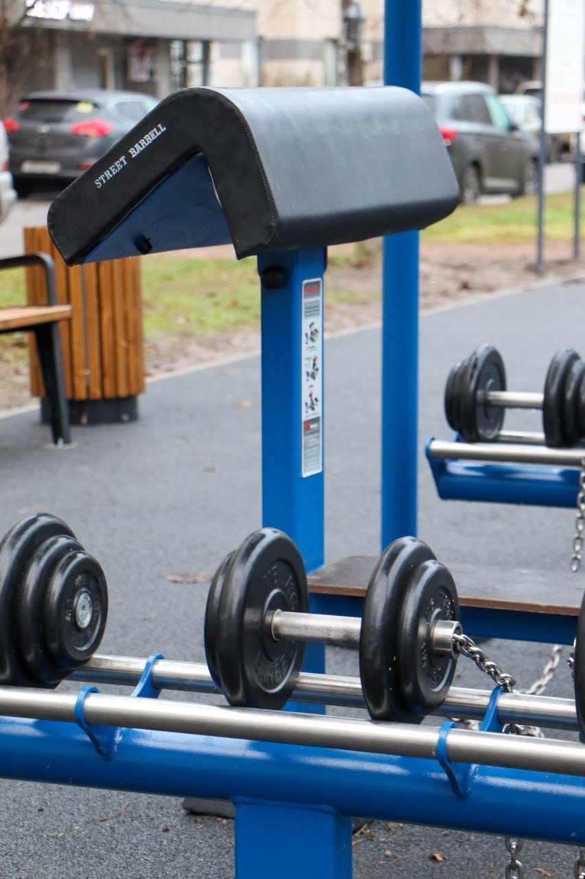 В Петербурге появляются «умные» спортплощадки. Первая открылась в Шушарах в начале декабря. Переходя по QR-кодам на тренажерах, вы можете сверяться с правильной техникой выполнения упражнений.