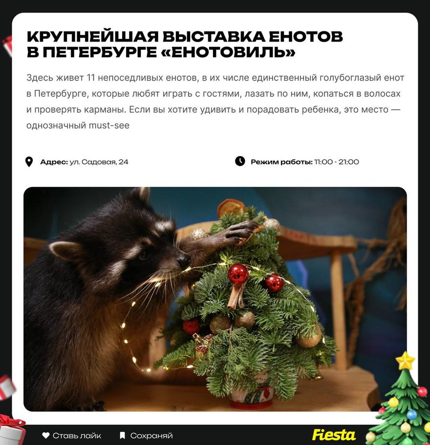 Топ-9 зимних семейный развлечений в Петербурге