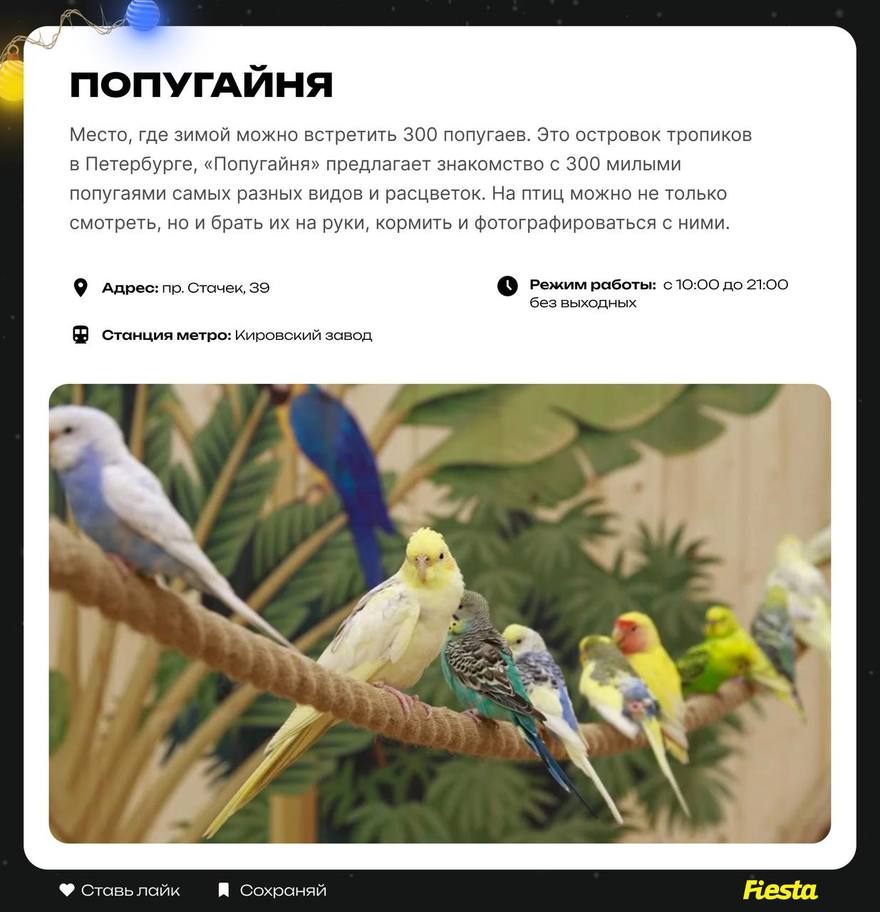 Топ-9 зимних семейный развлечений в Петербурге