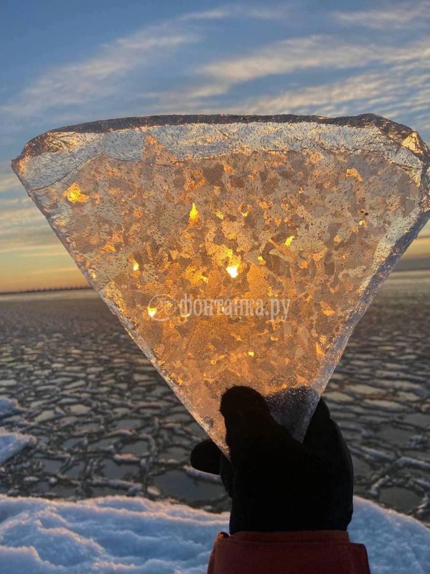 Ледяные «блинчики» заметили на Финском заливе