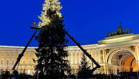 Ёлку на Дворцовой площади постепенно наряжают.