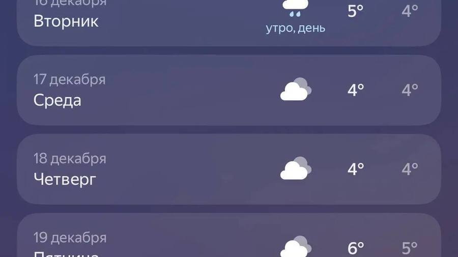 На предстоящей неделе в городе ожидается заметное потепление: к выходным температура поднимется до +5…+6°